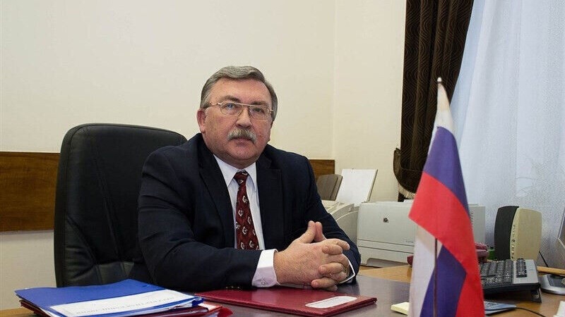 Реакция России на требования некоторых депутатов парламента об инспекторах МАГАТЭ