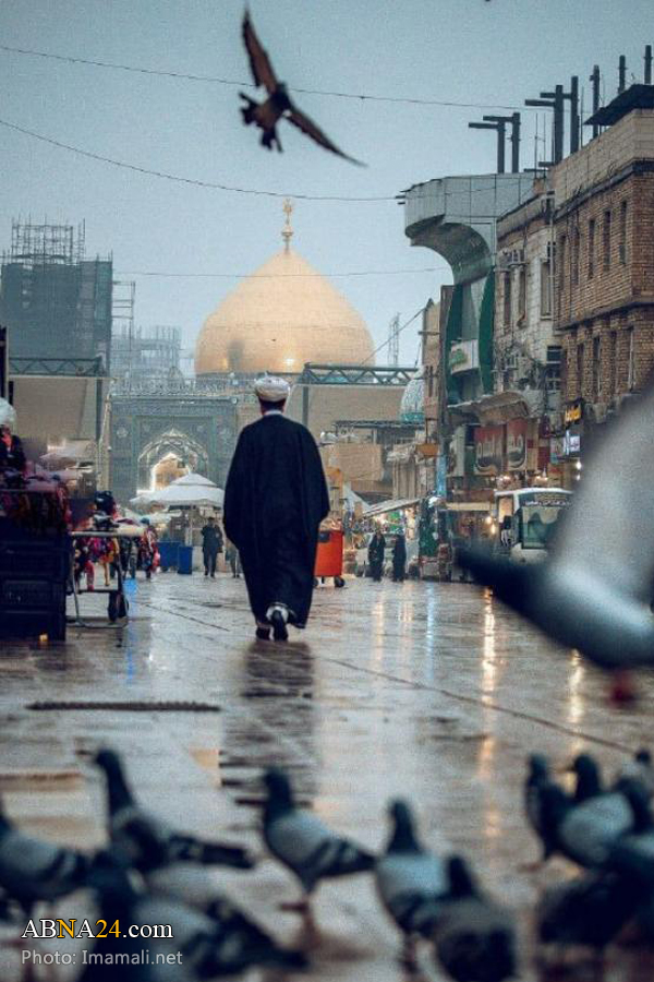 تقرير مصور / مشاهد جديدة عن قبة امير المؤمنين (ع) في النجف الأشرف