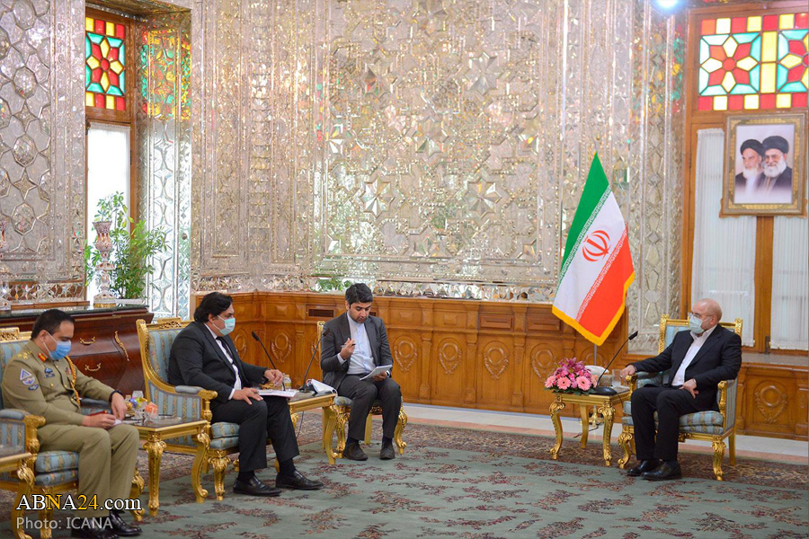 Parl. Speaker calls on Pakistan to release Iranian hostages