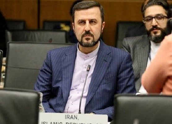 على الوكالة الدولية للطاقة الاحتفاظ باستقلاليتها وحيادها ومهنيتها