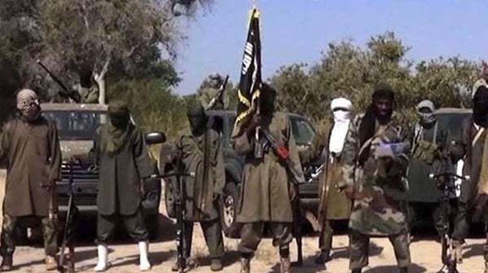 Boko Haram fresh attack in Niger,  over 27 killed