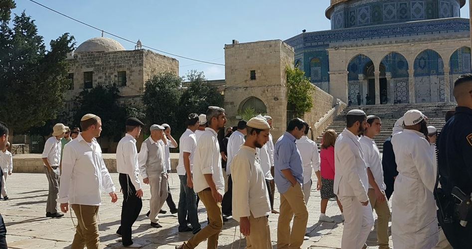 یہودی شرپسندوں کے ذریعے مسجد الاقصیٰ کی بے حرمتی جاری