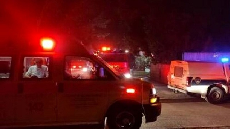 Нападение сионистского поселенца на палестинскую женщину и ребенка на Западном берегу