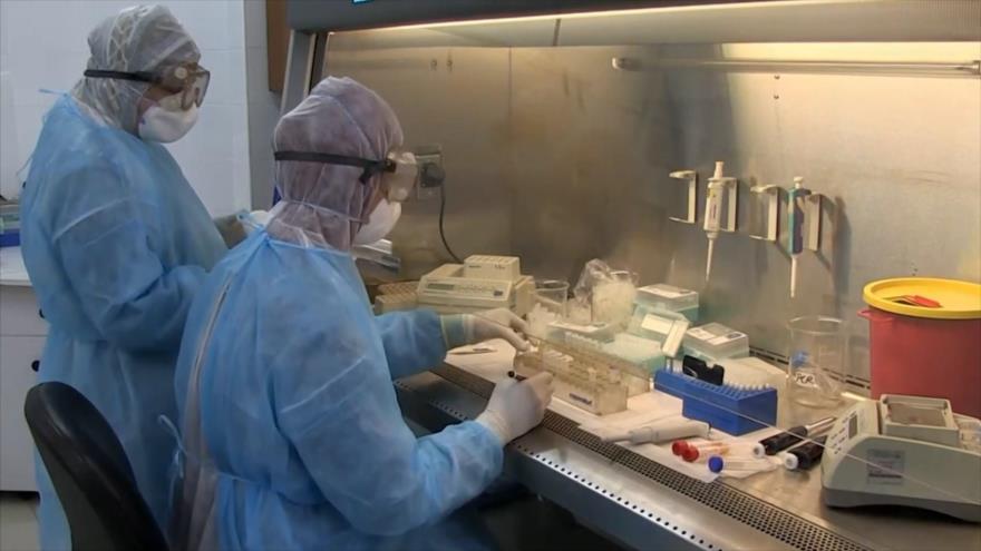 Un nuevo récord para Gaza: “935 casos nuevos de coronavirus” 