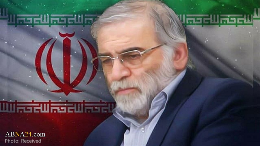 Newzland's FM expresses concern on Iranian top scientist assassination