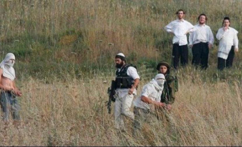مستوطنون يعتدون على مواطن بمنطقة عرب الرشايدة في أريحا