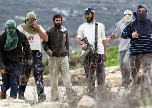 المستوطنون يهاجمون الرعاة الفلسطينيين بالأغوار الشمالية