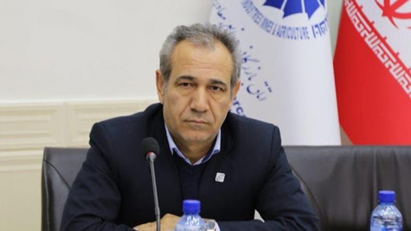 “Худафәрин Ҝөмрүјүнүн јенидән ачылмасы Дағлыг Гарабағын јенидән гурулма просесиндә иштирак етмәк үчүн лазымдыр”