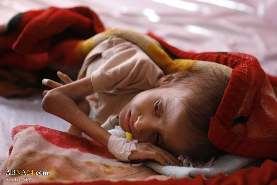 Millions of Yemeni families need urgent support: WFP