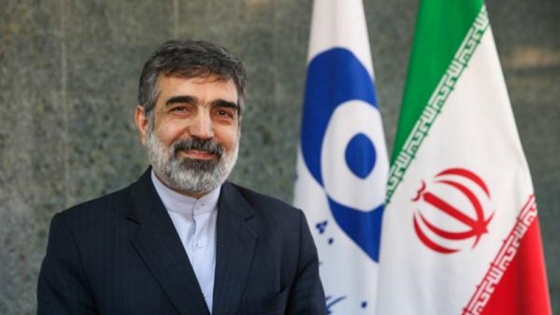 イラン原子力庁報道官「中部ナタンズ核施設にIR2m型遠心分離機2000基を設置」