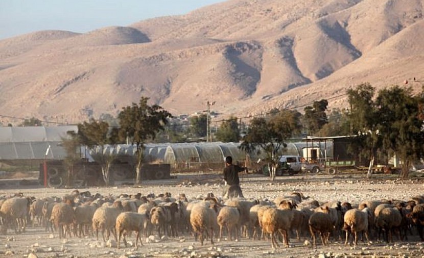 الاحتلال الاسرائيلي ينصب كمينا ويعتقل راعي أغنام سوري شمال فلسطين المحتلة