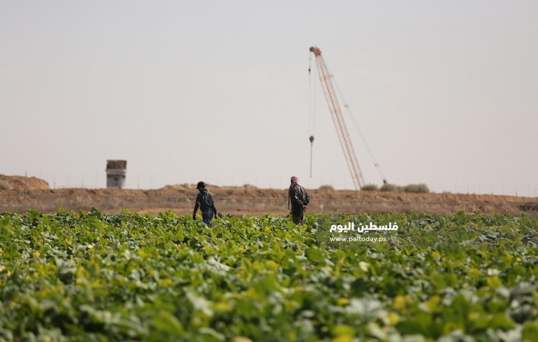 قوات الاحتلال الاسرائيلي تستهدف المزارعين شرق غزة وخانيونس
