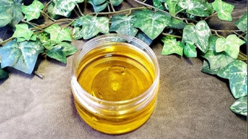 Елм тәмәлли бир ширкәт мејвә туллантыларыны ихраҹат мәһсулуна чевириб