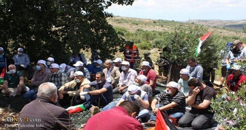 Palestinians perform Friday prayer in Jordan Valley hamlet razed by Israeli occupation forces