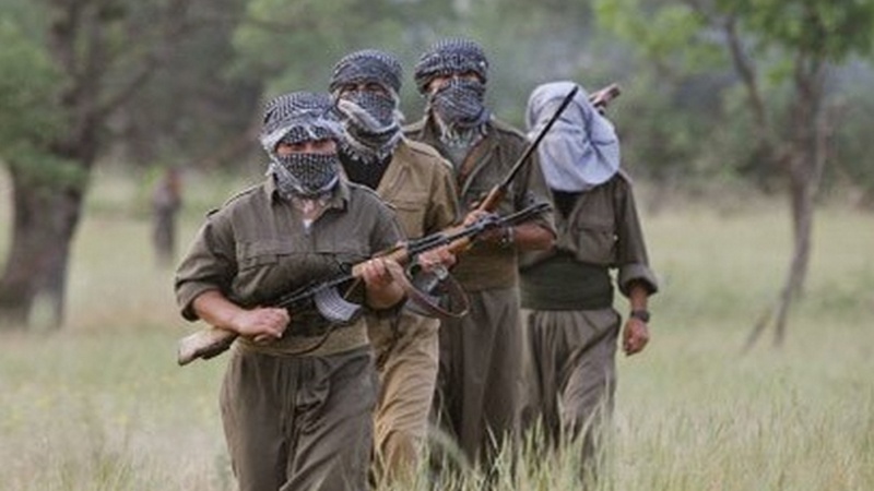 Turki Bunuh Ribuan Milisi PKK Selama Operasi Militer