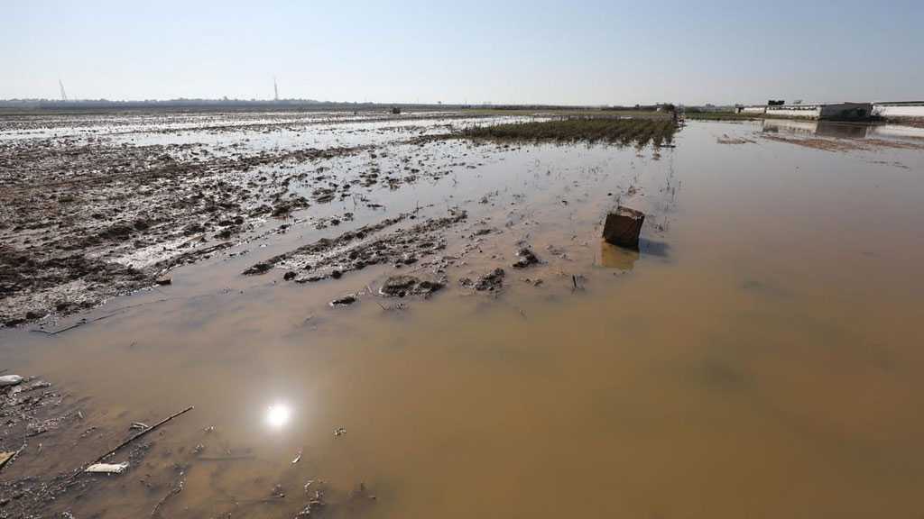 Mother of Terrorism: Zionist regime floods Palestinian farmlands in Gaza with Rainwater
