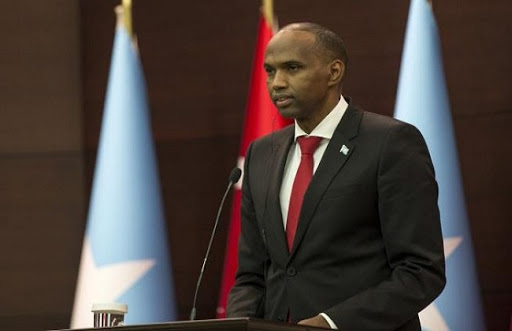 الامارات تريد جعل الصومال مثل ليبيا واليمن وتسعى لإثارة الفوضى
