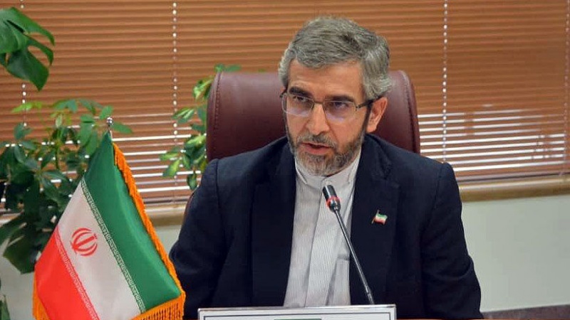 イラン司法府人権評議会書記、「国連人権理事会会議というお祭りが人類を喜ばせることはない」