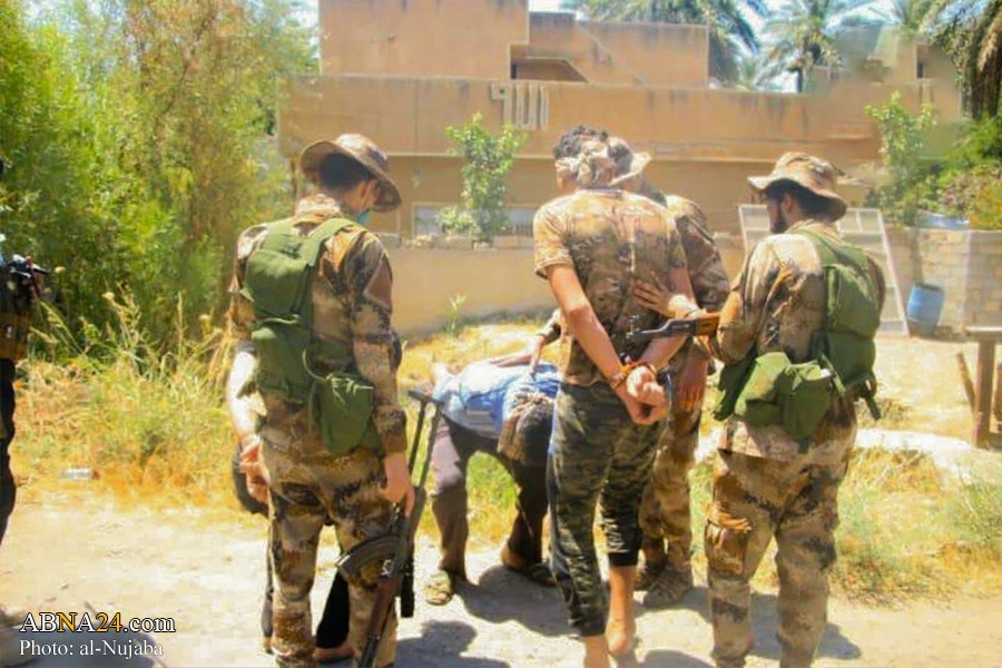 Al-Nujaba fighters kill governor and Grand Mufti of ISIS in Baghdad