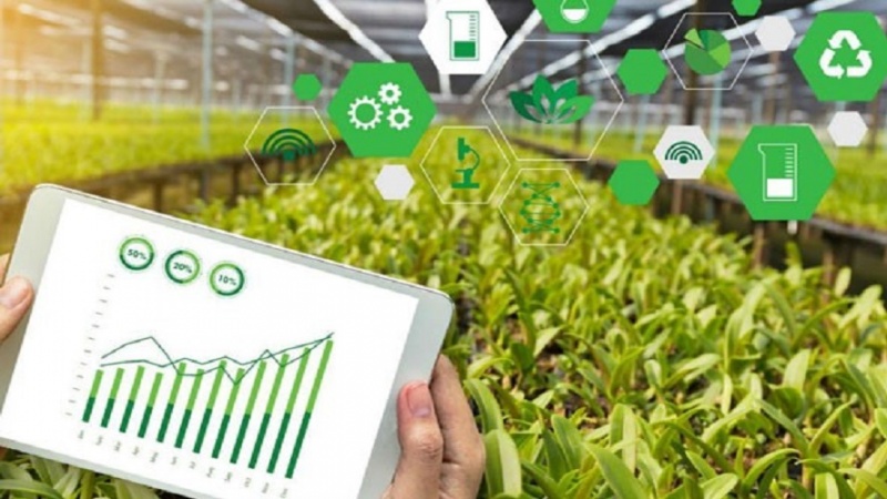 Иранда интеллектуал кәнд тәсәррүфаты системи истифадәјә верилиб