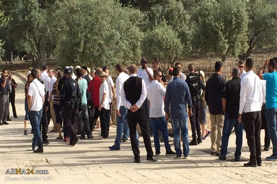 Dozens of extremist Jewish settlers break into Al-Aqsa courtyards