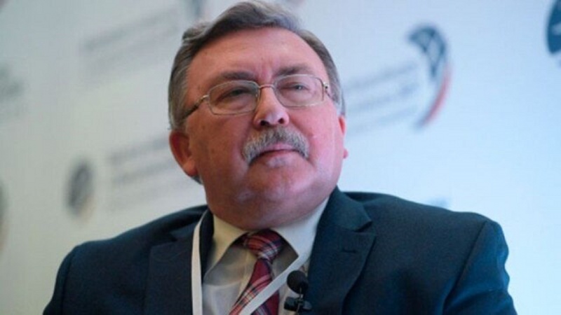 駐国際機関ロシア代表「ＩＡＥＡ理事会は核合意に対し責任あるアプローチを取るべき」