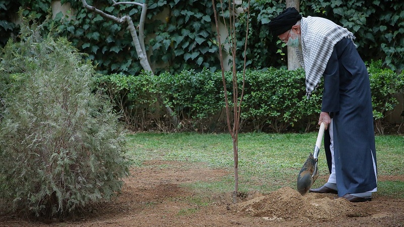 বৃক্ষরোপণ সদকায়ে জারিয়া; মৃত ব্যক্তির কাছে সওয়াব পৌঁছাতে থাকে: সর্বোচ্চ নেতা