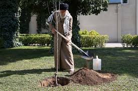 Верховный лидер посадил два дерева в День посадки деревьев