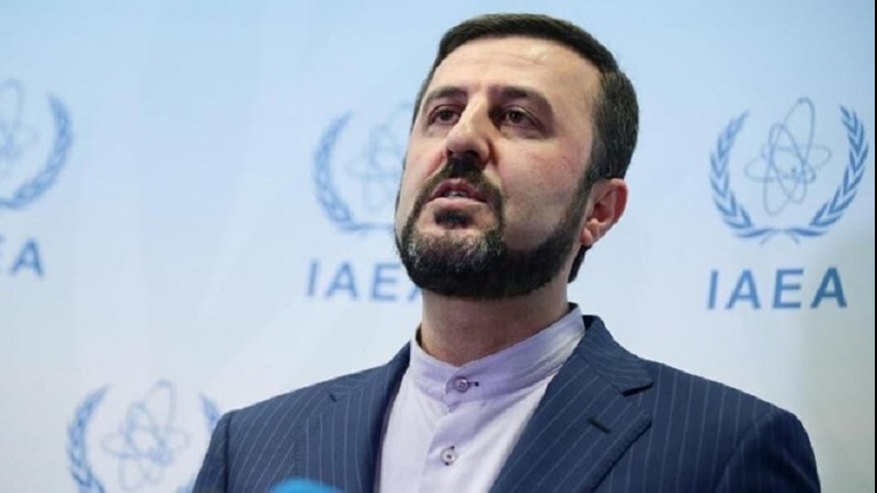 Гариб-Абади: Иран не оставит убийство мученика Фахризаде без ответа