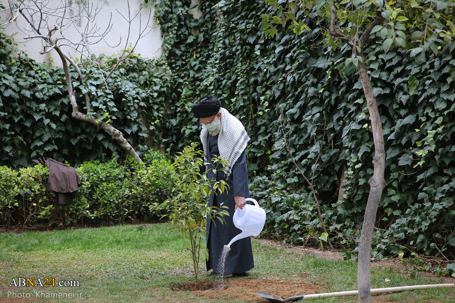 “En el Día Nacional de la Plantación de Árboles, el Imam Jameneí plantó nuevos árboles”