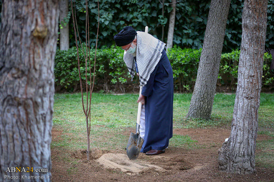 Photos: On National Tree Planting Day, Imam Khamenei planted tree saplings