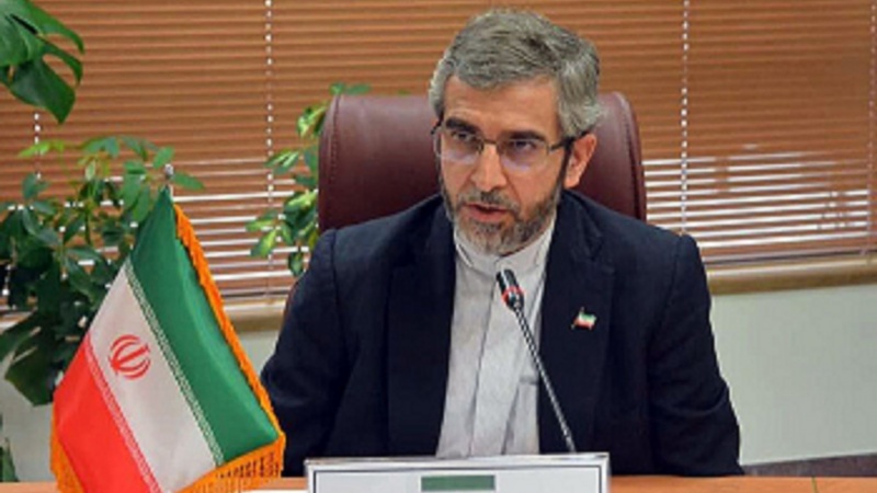 イラン人権本部長官、「イランにおける人権は色が変わらない」