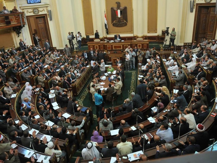 مصر ترفض اتهام 31 دولة في مجلس حقوق الإنسان لها بانتهاك الحقوق الإنسانية