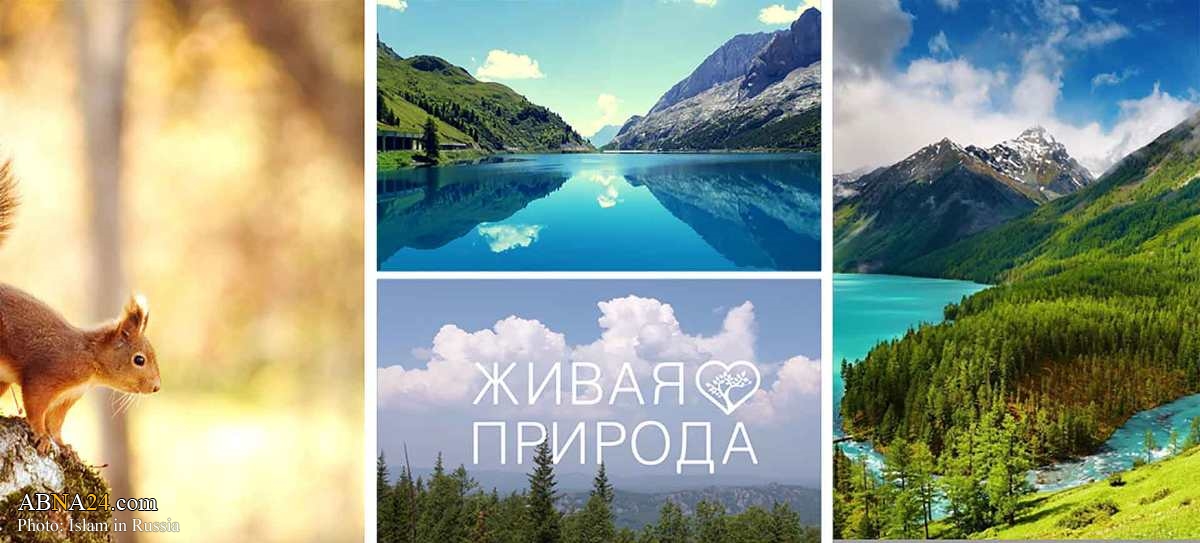 Russia TV channels receive halal certificates