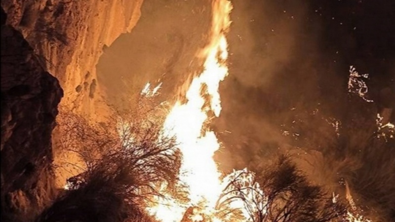 ケニアの自然保護区で山火事発生、英国軍の訓練が原因か