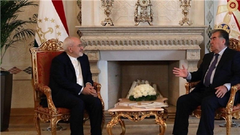 Zərif Tacikistan prezidenti ilə görüşüb