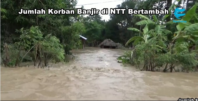Jumlah Korban Banjir di NTT Bertambah