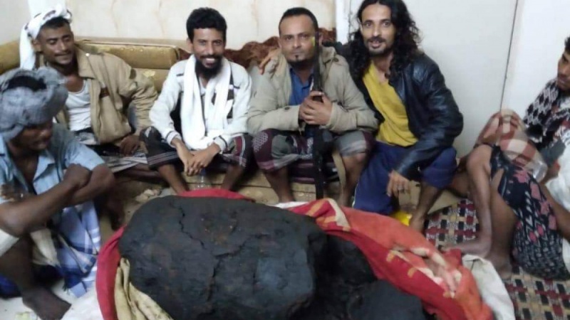 व्हेल की उल्टी (एम्बरग्रीस) ने युद्ध ग्रस्त यमनी मछुआरों को रातो-रात करोड़पति बना दिया