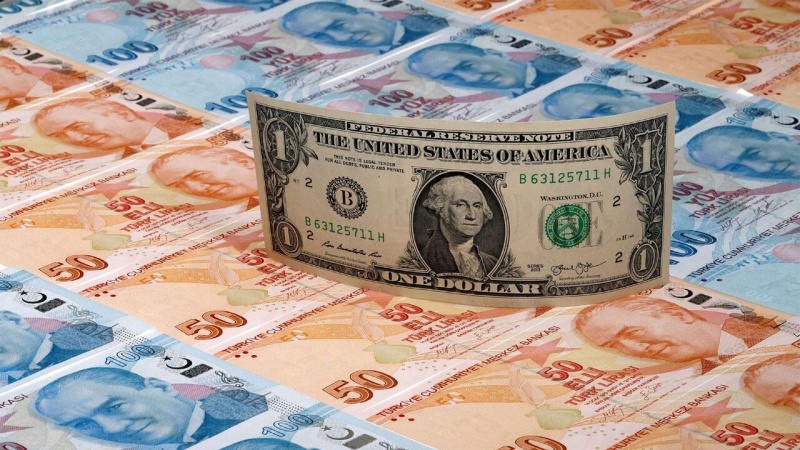 Türkiye'de Döviz Rezervlerinin Azalması