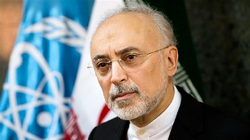Salehi: Insiden Natanz Tanda Musuh Putus Asa Hadapi Kemajuan Iran