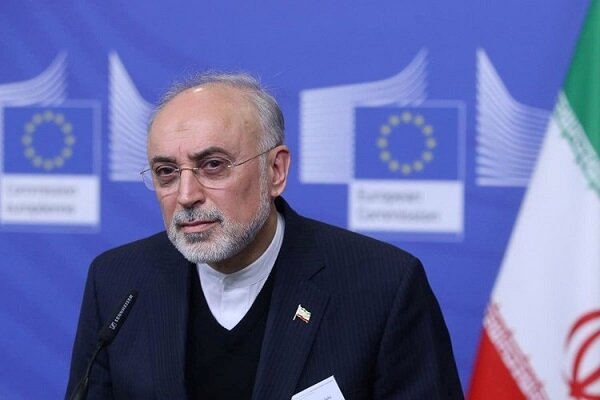 Rights reserved to act against Natanz incident perpetrators: AEOI Chief