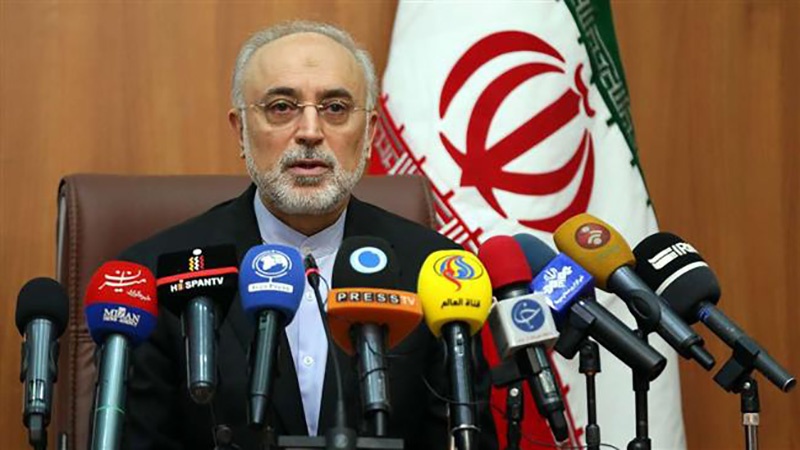 Salehi: Pengayaan Uranium Berlanjut di Natanz