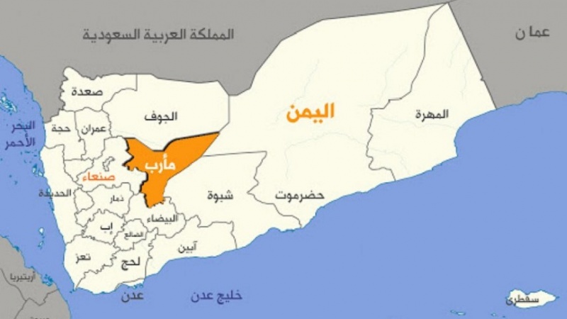 Arab Saudi Rangkul Teroris Al Qaeda dalam Perang Ma’rib
