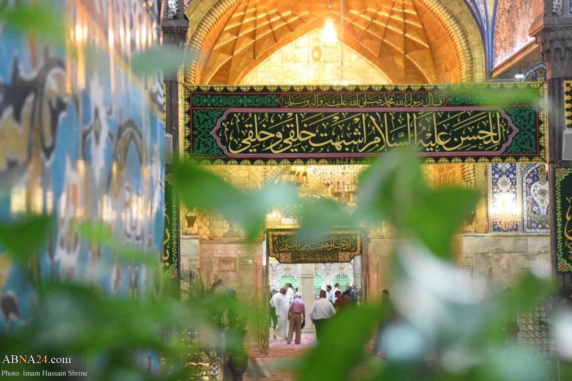 Photos: Decorating Imam Hussain holy shrine with green banners on auspicious birth of Imam Hasan Mujtaba