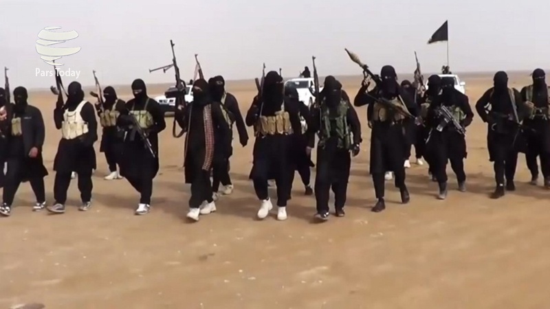 Pasukan Irak Tangkap 11 Milisi Teroris Daesh