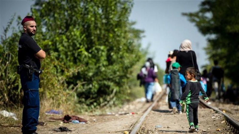    EU odgovorna za smrt dvije hiljade migranata