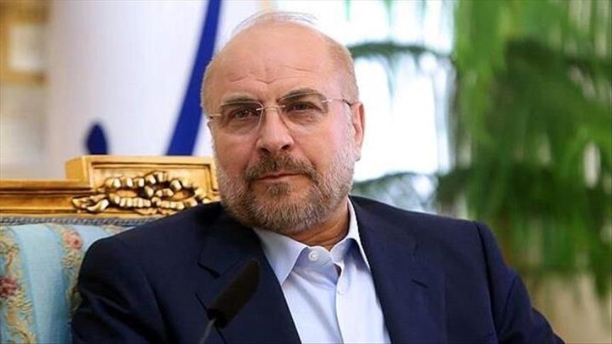 ایران کے پارلیمانی اسپیکر کا دیگر ممالک کے ہم منصب افراد سے مطالبہ
