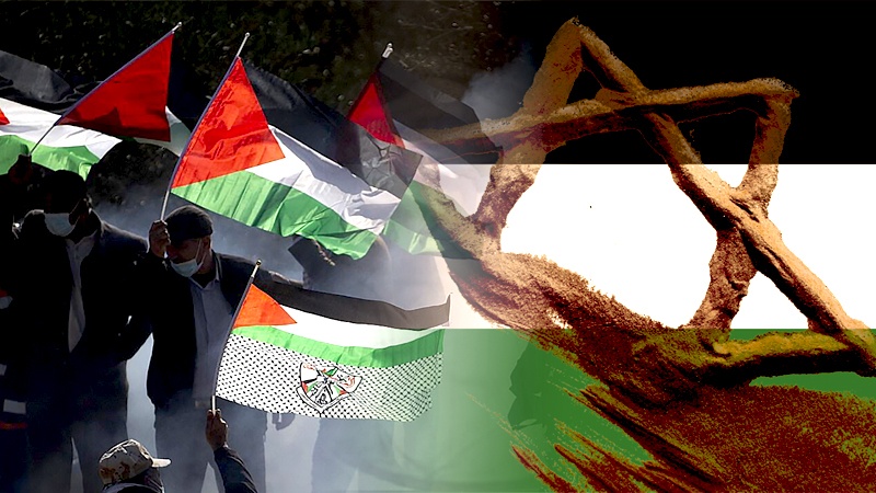 Anggota Kongres AS Kritik Kejahatan Israel di Palestina