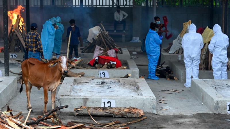 ভারতে করোনাভাইরাসে একদিনে সাড়ে ৪ হাজারের বেশি রোগীর মৃত্যু রেকর্ড