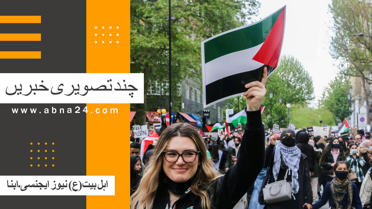 ویڈیو کلیپ/ عالم اسلام و تشیع کی منتخب تصویری خبریں؛ نجف اشرف سے غزہ تک